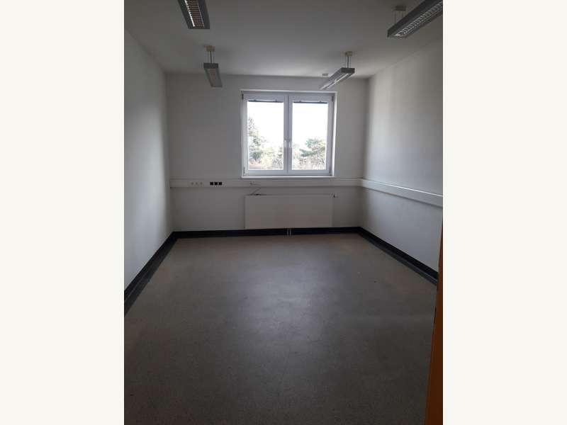 Gewerbeobjekt in St. Georgen am Steinfelde - Bild 3