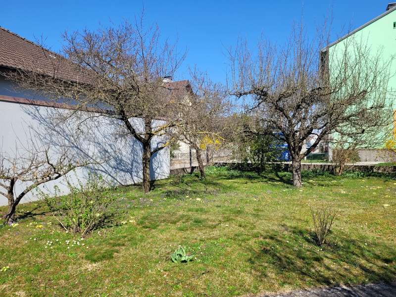 Einfamilienhaus in Oberwagram - Bild 23 Einfamilienhaus in Oberwagram - Bild 23