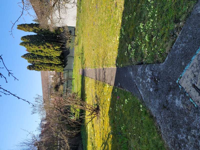 Einfamilienhaus in Oberwagram - Bild 24 Einfamilienhaus in Oberwagram - Bild 24