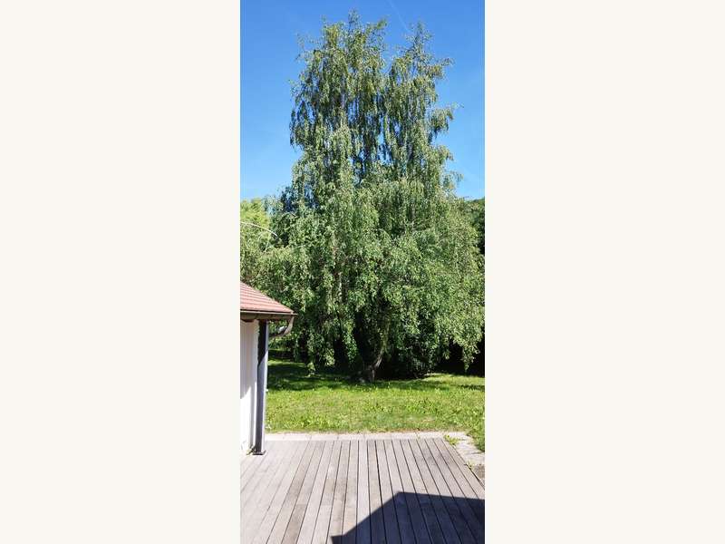 Einfamilienhaus in Stiefern - Bild 21