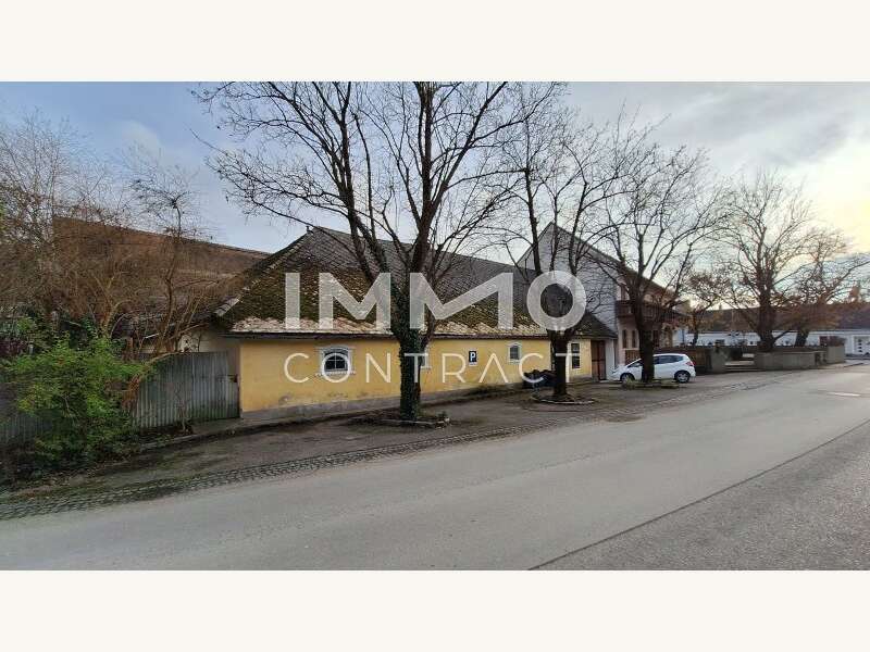 Geschäftshaus Loosdorf: 20241214_140316 20241214_140316