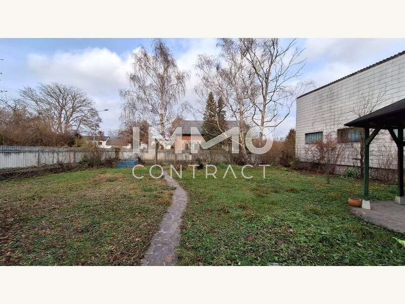 Geschäftshaus Loosdorf: 20241214_140514 20241214_140514