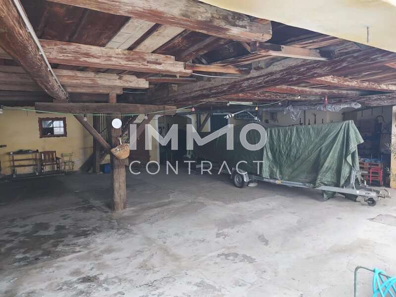 Geschäftshaus Loosdorf: 20250117_100412 20250117_100412