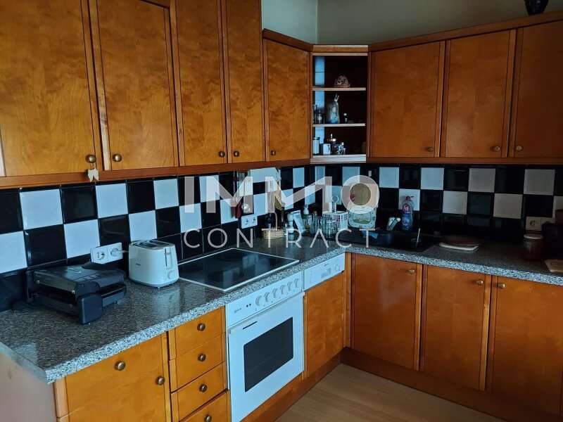 Geschäftshaus Loosdorf: 20250117_101928 20250117_101928