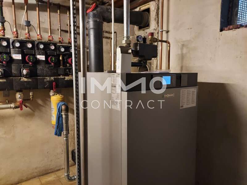 Geschäftshaus Loosdorf: 20250117_100826 20250117_100826