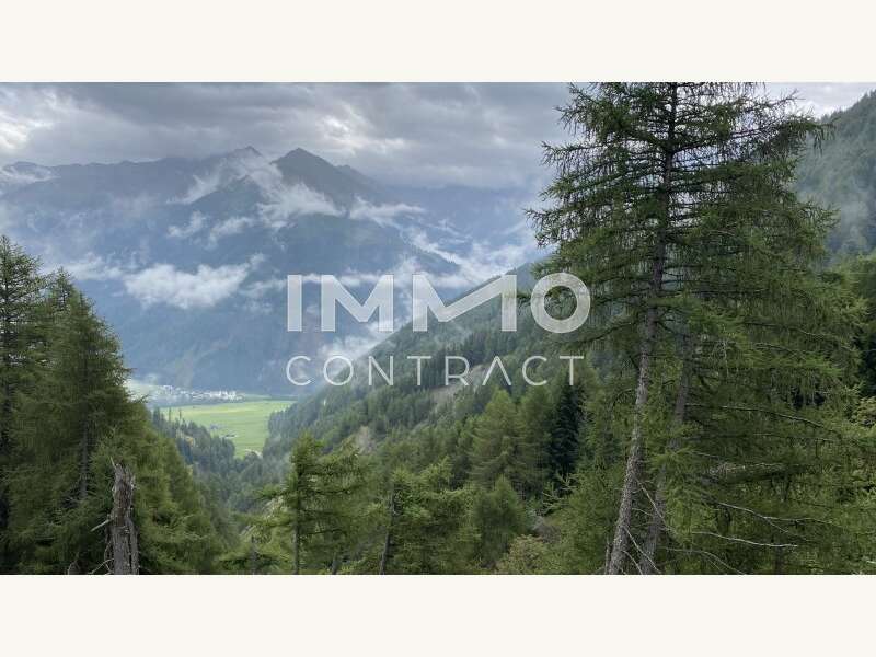 Landwirtschaft Kals am Großglockner: Waldparzellen Waldparzellen