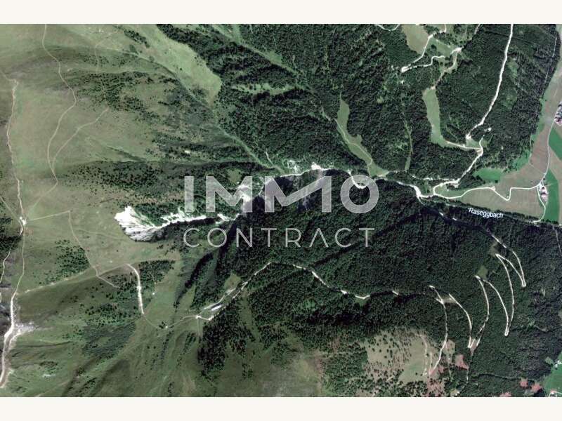 Landwirtschaft Kals am Großglockner: Satellitenaufnahme Waldparzelle Satellitenaufnahme Waldparzelle