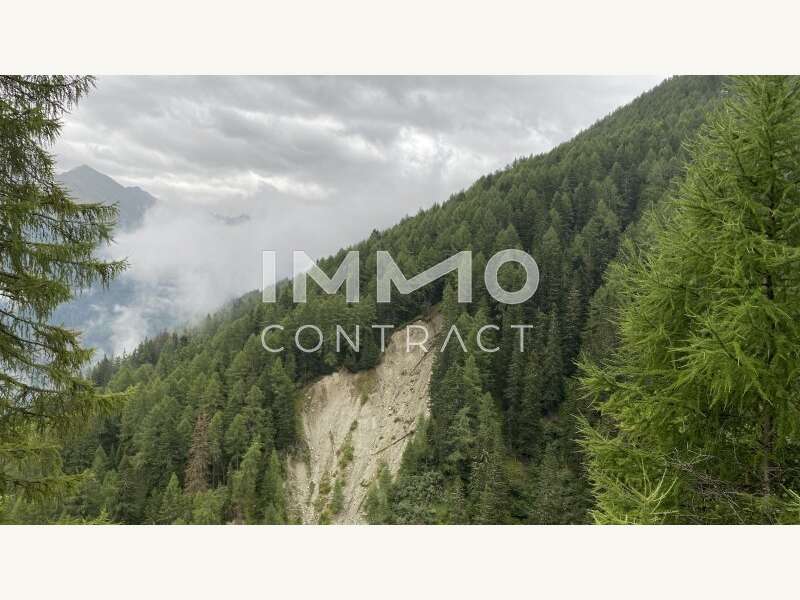 Landwirtschaft Kals am Großglockner: Waldparzelle Waldparzelle