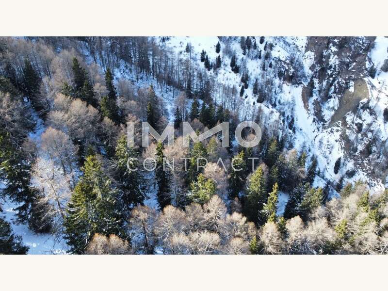 Landwirtschaft Kals am Großglockner: Waldparzellen Kals am Großglockner Waldparzellen Kals am Großglockner