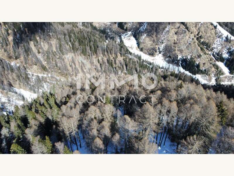 Landwirtschaft Kals am Großglockner: Waldparzellen Kals am Großglockner Waldparzellen Kals am Großglockner