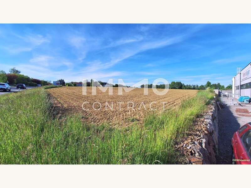 Halle in Bergland - Bild 3 Halle in Bergland - Bild 3