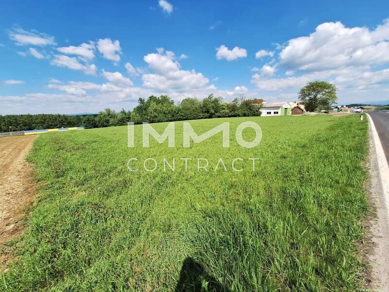 Halle in Zeillern - Bild 2