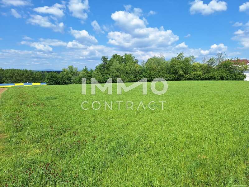 Halle in Zeillern - Bild 4