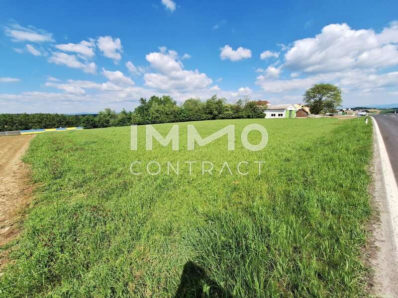 Halle in Zeillern - Bild 7