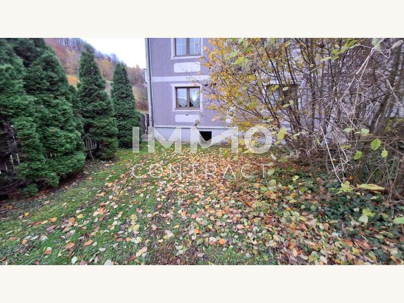 Wohn und Geschäftshaus in Kirchberg an der Pielach - Bild 5