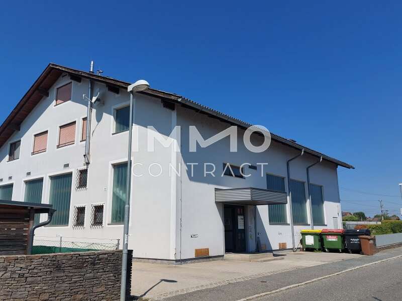 Halle in Kaindorf - Bild 2
