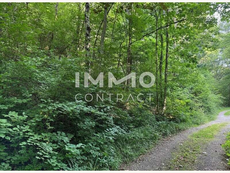 Baugrundstück in Pressbaum - Bild 3