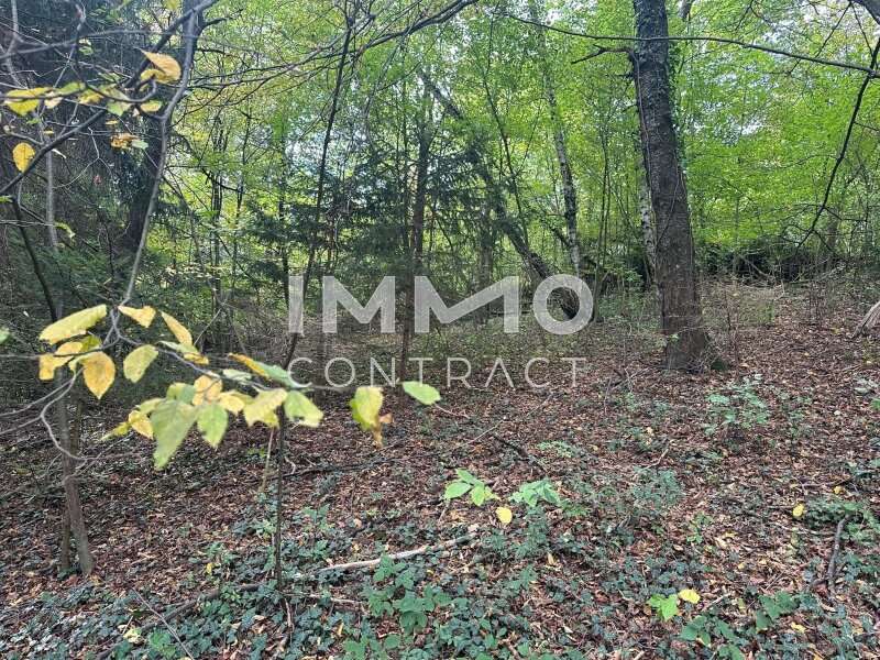 Baugrundstück in Pressbaum - Bild 4