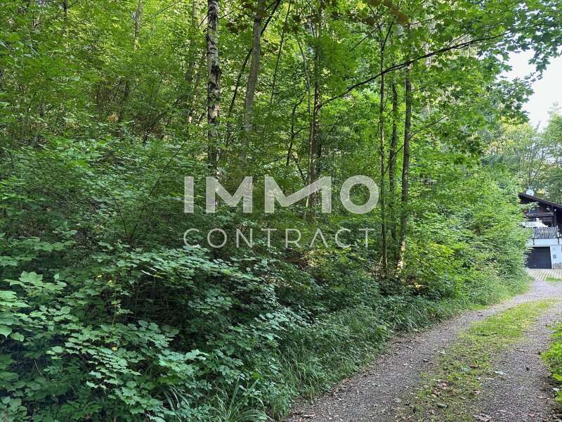 Baugrundstück in Pressbaum - Bild 5