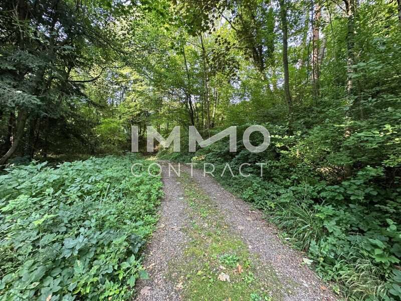 Baugrundstück in Pressbaum - Bild 7