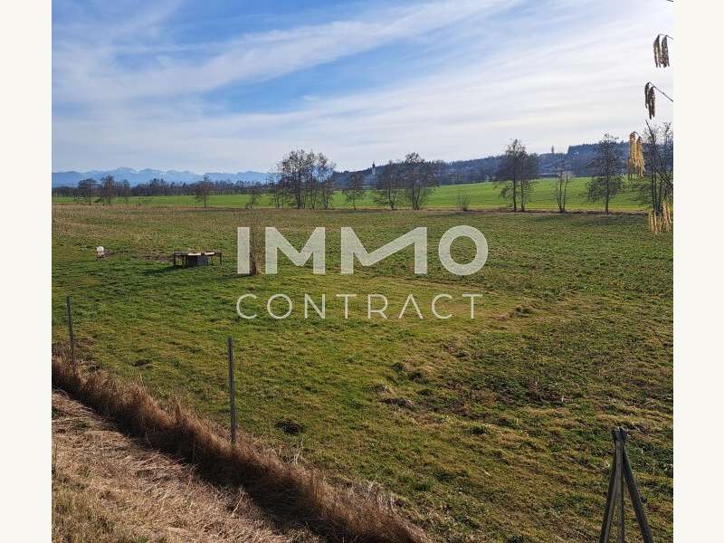 Landwirtschaftsgrund Neukirchen bei Lambach: 20240215_144122 20240215_144122