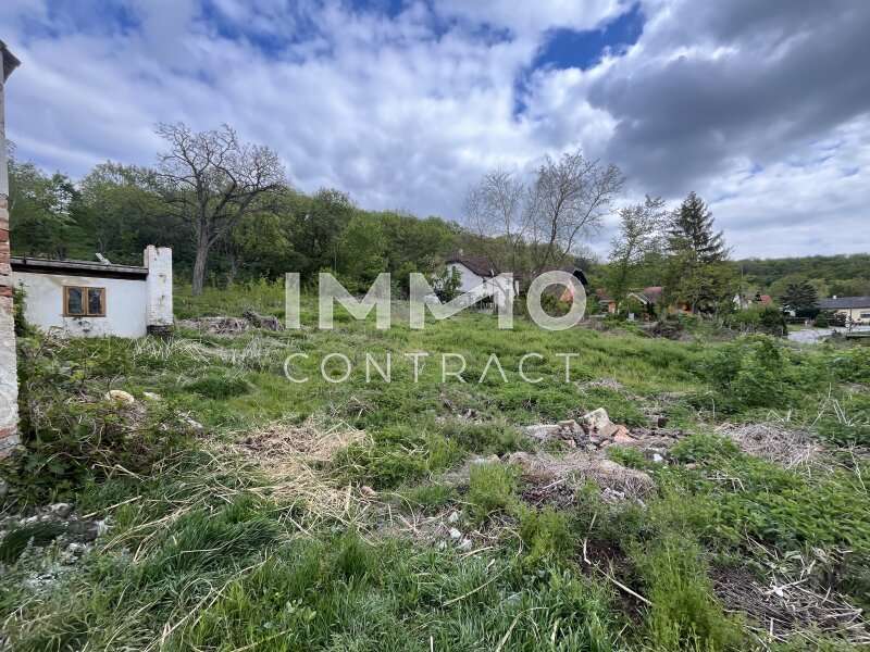 Baugrundstück in Enzersdorf bei Staatz - Bild 2