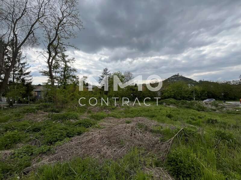 Baugrundstück in Enzersdorf bei Staatz - Bild 3