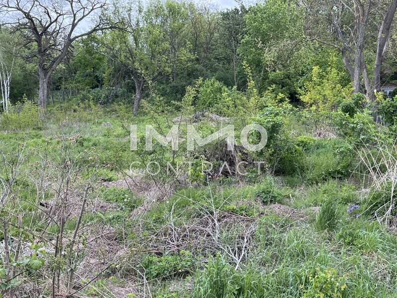 Baugrundstück in Enzersdorf bei Staatz - Bild 3