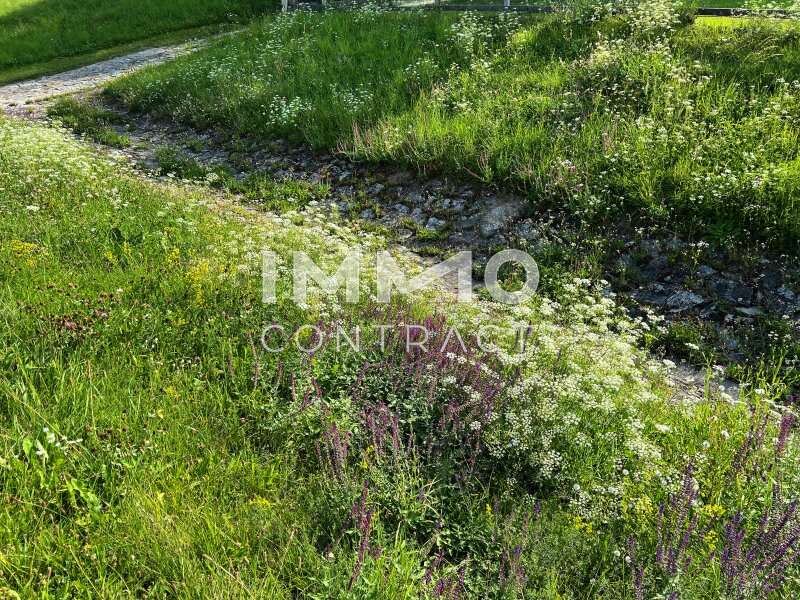 Grundstück Gobelsburg: DSH DSH