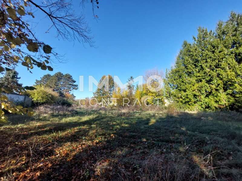 Grundstück in Ulrichskirchen - Bild 4