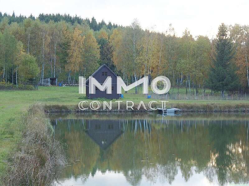 Landwirtschaftsgrund in Bad Traunstein - Bild 4