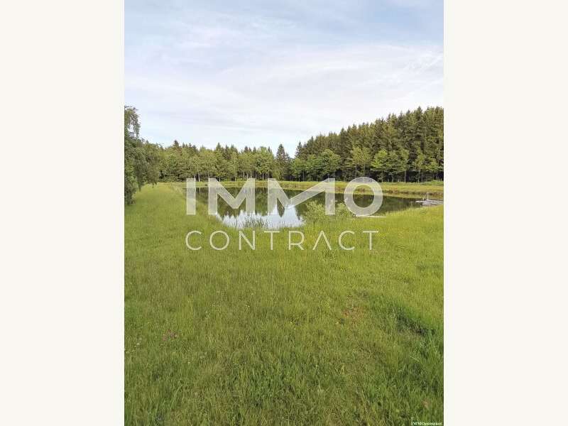 Landwirtschaftsgrund in Bad Traunstein - Bild 10