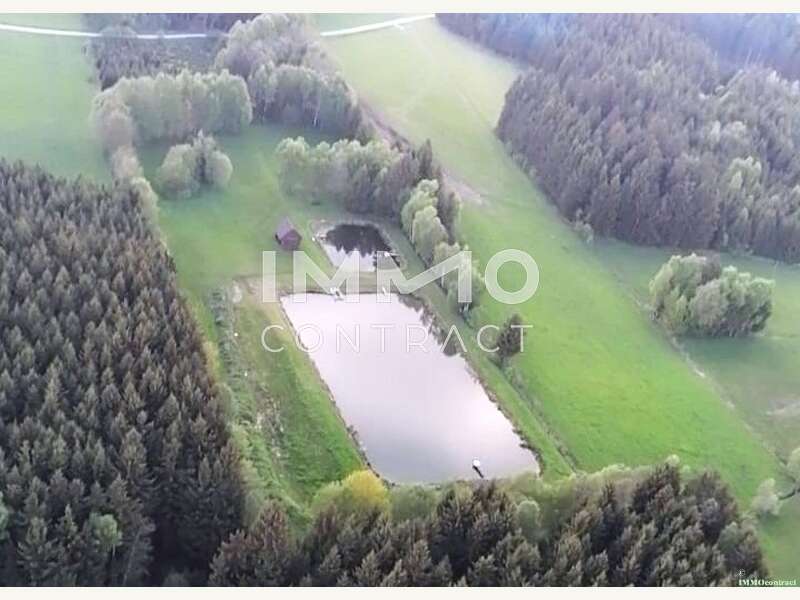 Landwirtschaftsgrund in Bad Traunstein - Bild 13