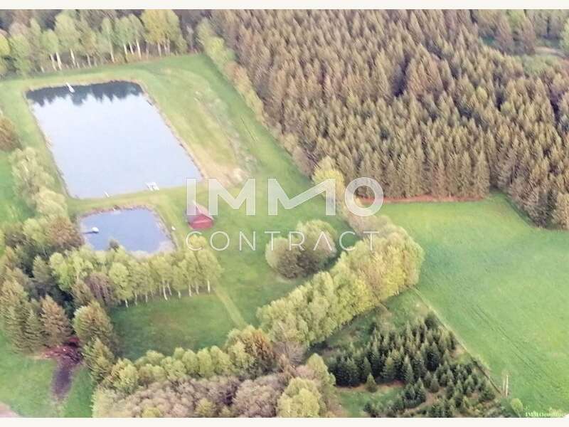 Landwirtschaftsgrund in Bad Traunstein - Bild 5