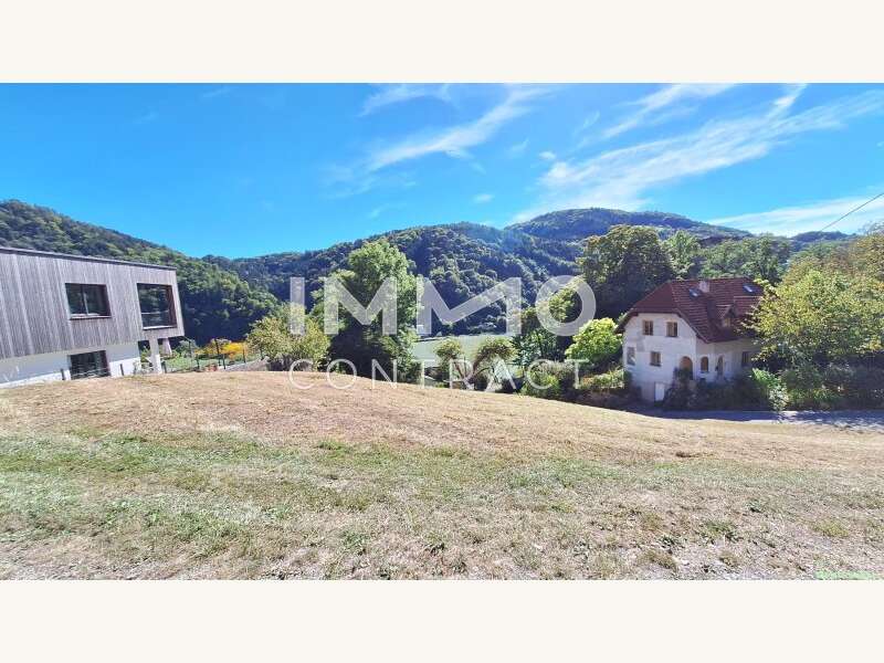 Baugrundstück in St. Nikola an der Donau - Bild 5 Baugrundstück in St. Nikola an der Donau - Bild 5