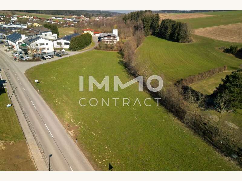 Grundstück in Treubach - Bild 6