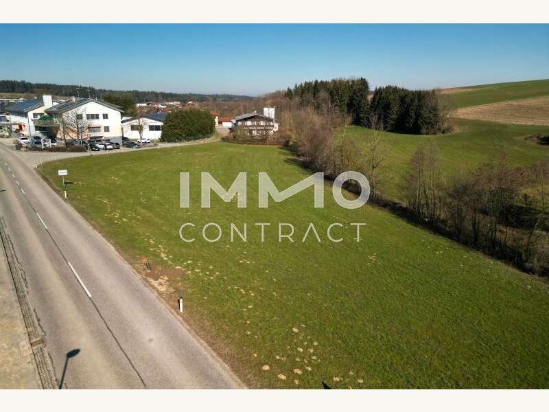 Grundstück in Treubach - Bild 8