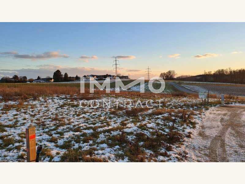 Baugrundstück in Wieselburg - Bild 3 Baugrundstück in Wieselburg - Bild 3