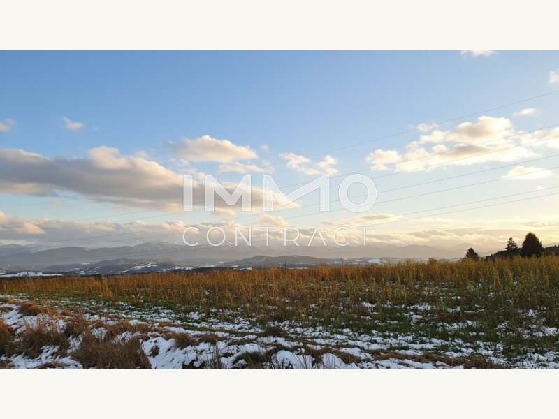 Baugrundstück in Wieselburg - Bild 4 Baugrundstück in Wieselburg - Bild 4