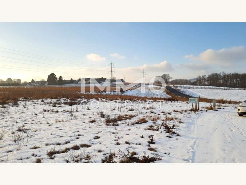 Baugrundstück in Wieselburg - Bild 6 Baugrundstück in Wieselburg - Bild 6