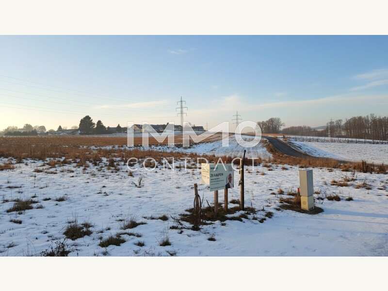 Baugrundstück in Wieselburg - Bild 7 Baugrundstück in Wieselburg - Bild 7