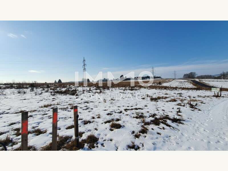 Baugrundstück in Wieselburg - Bild 8 Baugrundstück in Wieselburg - Bild 8