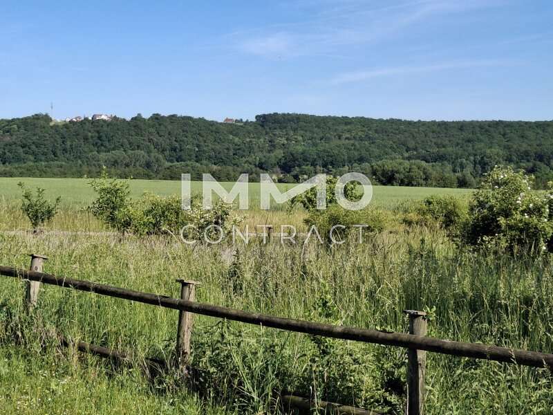 Grundstück Großpetersdorf: Ausblick nach Hannersdorf Ausblick nach Hannersdorf