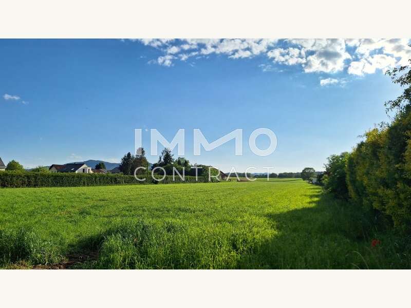 Landwirtschaftsgrund in Purgstall an der Erlauf - Bild 2