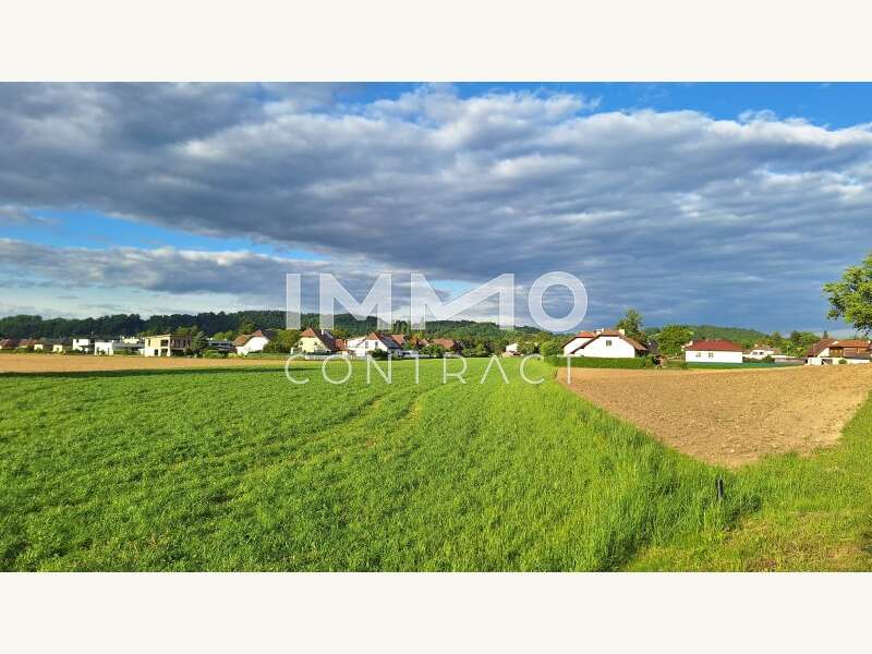 Landwirtschaftsgrund in Purgstall an der Erlauf - Bild 8