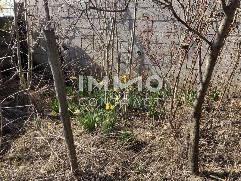 Bauernhaus in Althöflein - Bild 9