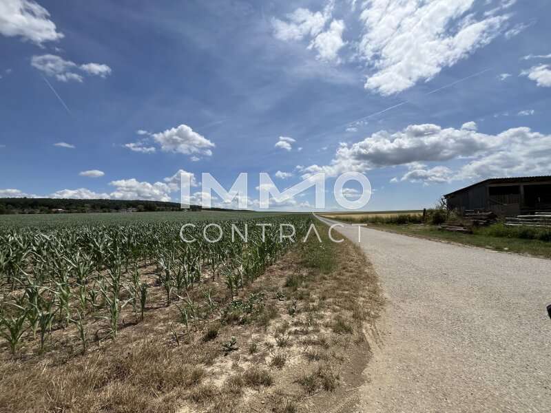 Doppelhaushälfte in Lerchenau - Bild 14