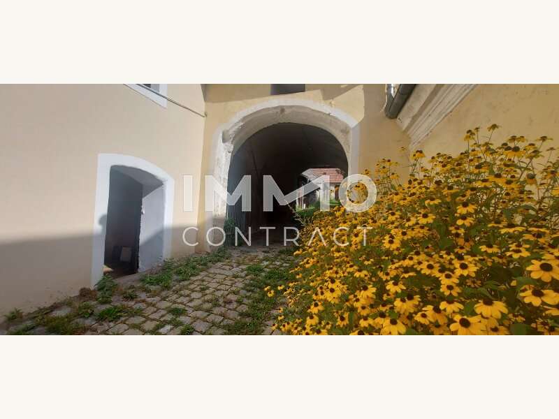 Einfamilienhaus in Langenlois - Bild 3