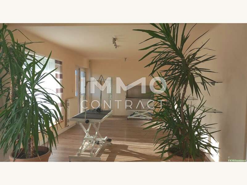 Mehrfamilienhaus in Pöchlarn - Bild 5