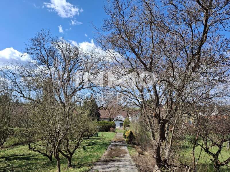 Einfamilienhaus Oberschützen: 1000001336 1000001336